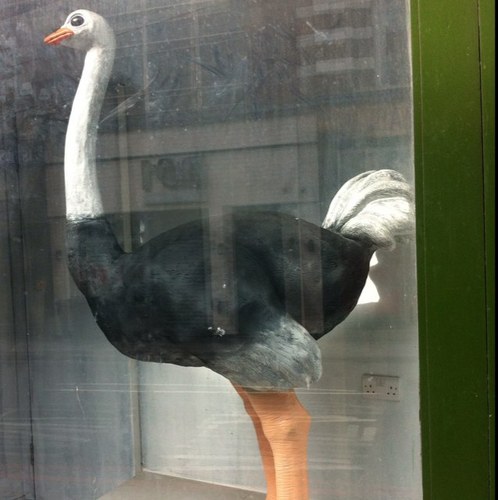 stoneallanstone's profile picture. Photographer, Traveller, Cyclist, Coffee Lover, Sky lark listener,