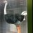 stoneallanstone's profile image