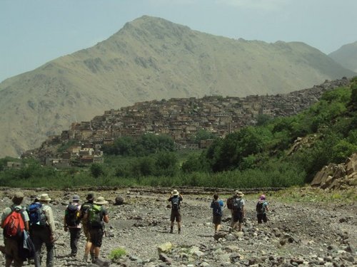 jacko_dan's profile picture. Sports and humour