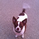 Debbie Metz - @MetzDebbie - Twitter