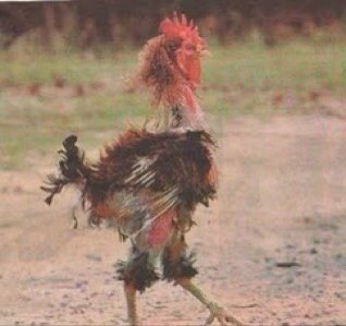 Javidelalmacen's profile picture. Clinical Psychologist, Victimologist, Opera lover, Old books lover, Artisan bookbinder