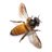 LisaDay11's profile image