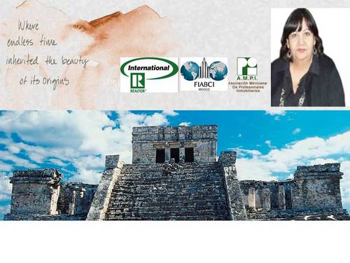 No one knows Mexico Real Estate like we do