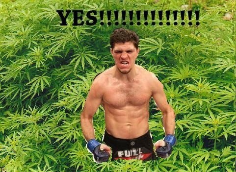 Lig1_1T's profile picture. http://t.co/BgKHnbTXnX