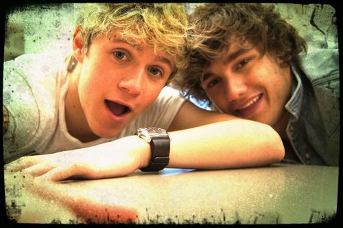 I'm just a normal girl who has loved one direction from the start! I will always be a directioner! #1Dfamily xoxo