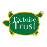 Tortoise Trust(@tortoisetrust) 's Twitter Profileg