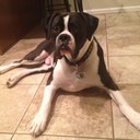 chris cunniffe - @traxx4life - Twitter