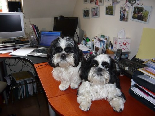 planetwedding's profile picture. 