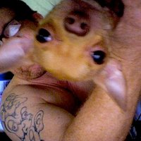 scott reynolds (@scottwreynolds) 's Twitter Profile