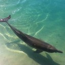 Allison Herbert - @HerbertAlli - Twitter