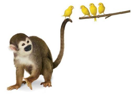 michaelprive's profile picture. Spécialiste de l'apprentissage TELUS et Resp. de Succursale