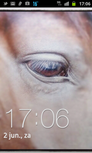 MissyB_68's profile picture. zelfstandig ondernemer, fitness-, sport-, dans-, en dressuur-instructeur, dressuurjury, houdt van dim, paard wonderful, doggies neo en naikie en misty de poes.