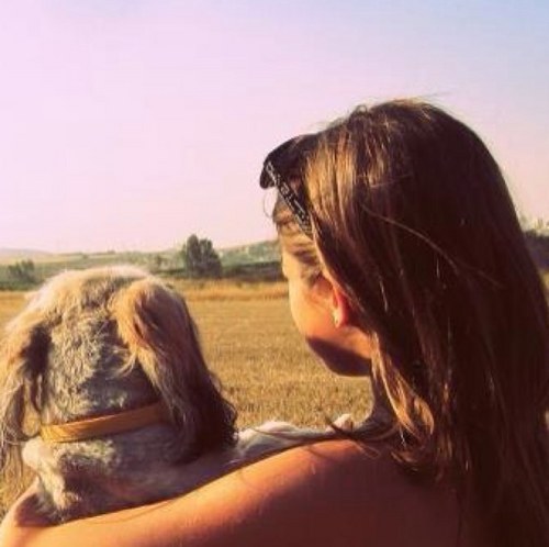 Evana017's profile picture. http://t.co/hBiXpDsoNC MIZ and Kelly! of course Vet Vet too