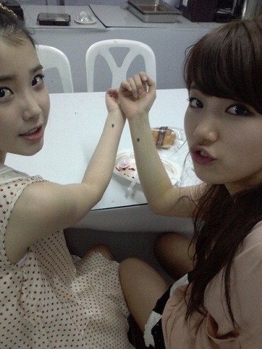 95line！
I luv K-POP