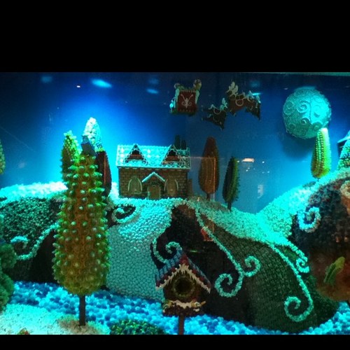 dieguito_85's profile picture. 