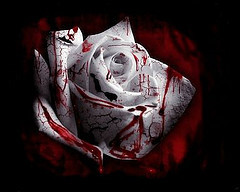 Nao quero alguém que fale : PARE DE CHORAR . Quero alguém que diga : PODE CHORAR, EU ESTOU AQUI CONTIGO [#sigo todos de volta :)]
