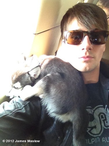 Sup. I'm Diamond. James Diamond ;) 1/4 guys of BTR n the super H.O.T one. Kendall Logan n Carlos are my bros #single