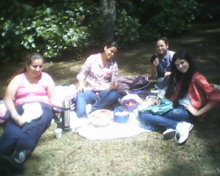 cris137403@hotmail.com