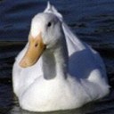 David Galarce - @dfrancisg - Twitter