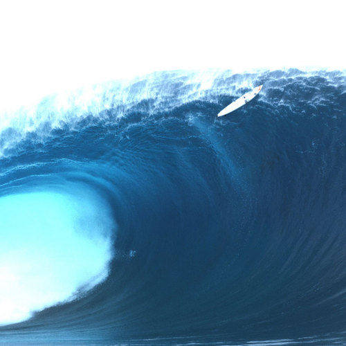 Surfe Profile Picture