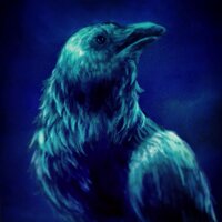 Corvus Corax(@Corvus) 's Twitter Profileg