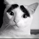 Ken Hartman - @Wowza007 - Twitter