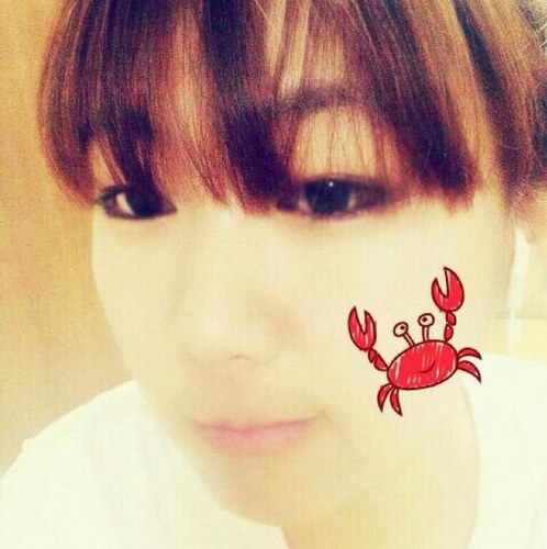 birdhumanS2's profile picture. 스무살