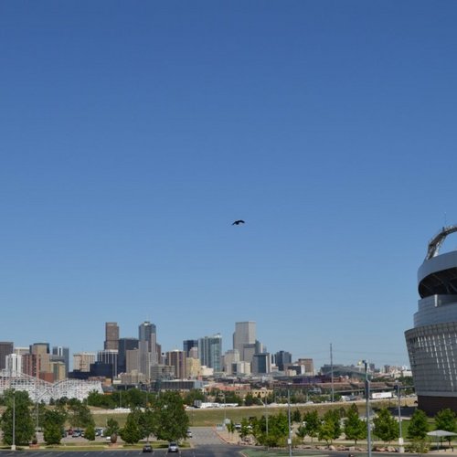 Denver Process Servers LLC . All of your serves will be done by a Certified Process Server. Member of NAPPS  & PSACO. Service of process Denver Colorado area.