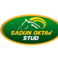 sadunoktavstud (@sadunoktavstud) 's Twitter Profile