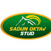 sadunoktavstud (@sadunoktavstud) Twitter profile photo