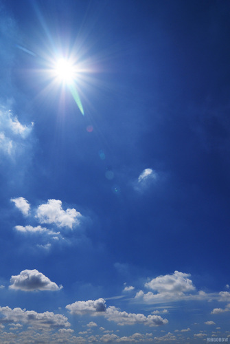 html7's profile picture. 