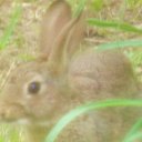 michael mensch - @wmmensch - Twitter