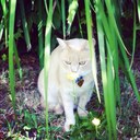 Hayley Maher - @batmansmrs - Twitter