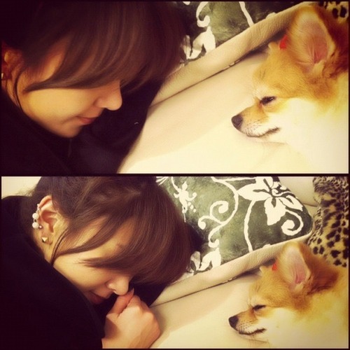 [2011.07.20 ~ End♥] 거짓말모르는 솔직담백한 간쥐나♥ 큐브팸지나봇 전 유저