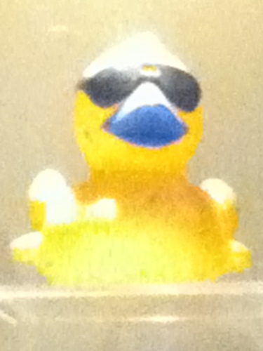 Crazythoughts5's profile picture. #BELIVE me.#FOLLOW me.#TRUST me.