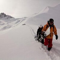 Mark McConnell (@markmcconnell6) 's Twitter Profile