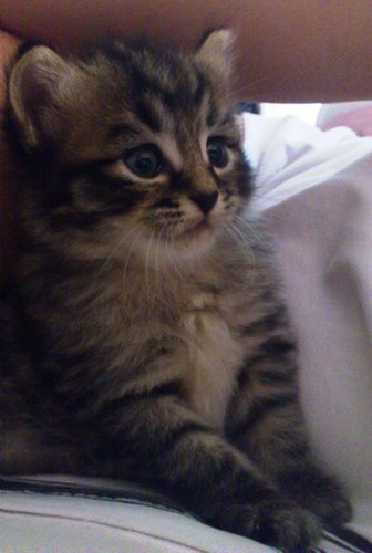 dmodel's profile picture. the good, the wise, the absolute....