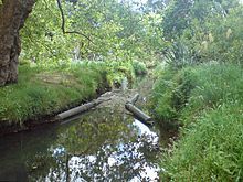 Follow us to get the latest news about Water Pollution