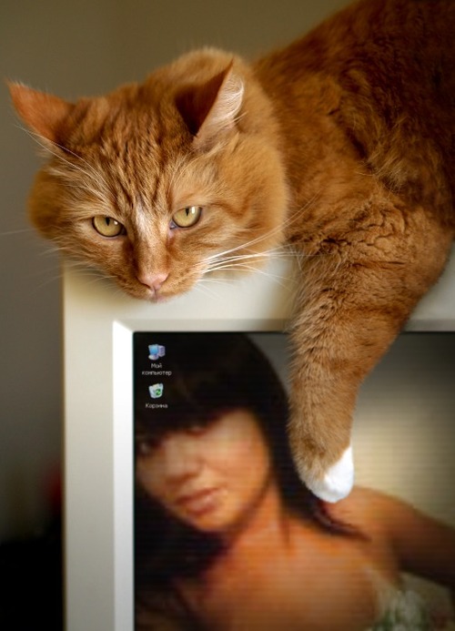 TatianaTakeda's profile picture. 