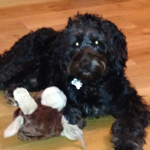 JoJoNicholls's profile picture. 