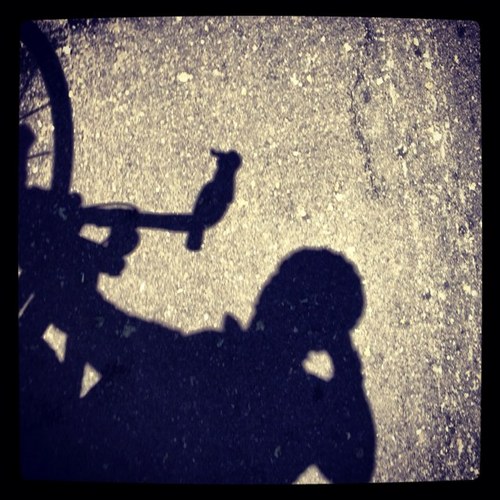 txiker's profile picture. 🚴🏻‍♂️🚴🏻‍♂️🚴🏻‍♂️🚴🏻‍♂️