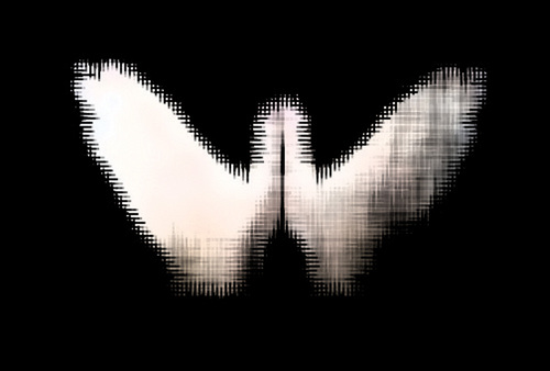 The Butterflys are a band from Brisbane Australia. Follow us here for all the best comps & giveaways!