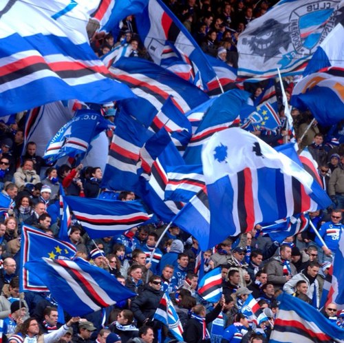 ditanegliocchi's profile picture. 