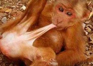 SpunkeyMonk's profile picture. What are you looking at cunt? Jealous you can't suck your own cock? Fuck off!