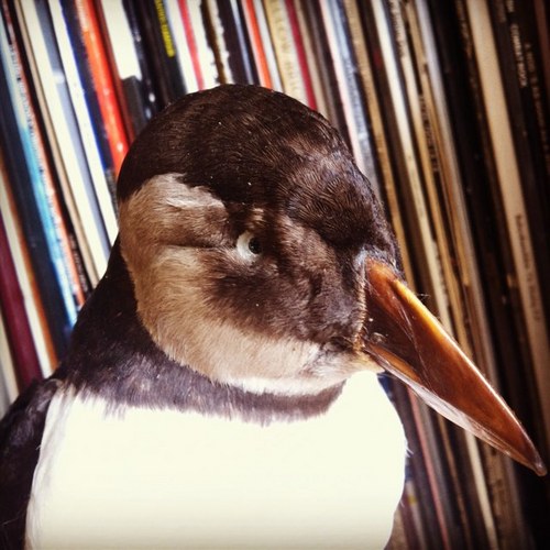 adamfowle_'s profile picture. EL GORDO, COYG, CRAIG