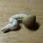 nao_sgy_'s profile image