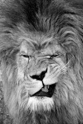 tanpris's profile picture. 