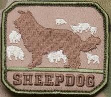 FictitiousFuzz's profile picture. The rants and random thoughts of an overnight Patrol Officer... (My opinions are my own & do not reflect my employer)