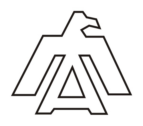 Director del Instituto de los Andes, Ingeniero Industrial - Historiador
