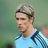 Fernando Torres Fans